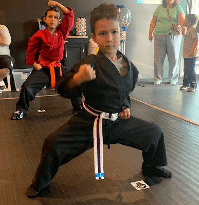 Kids Martial Arts School in Troy, MI